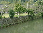 嵐山公園